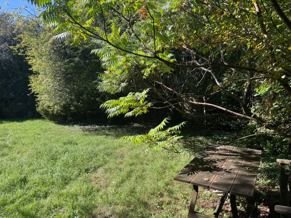 Lot: 47 - APPROXIMATELY HALF AN ACRE OF LAND WITH VACANT POSSESSION - Picnic bench and lawn area